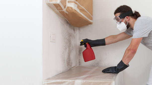 Professional Basement Mold Remediation technician working in Princeton, NC