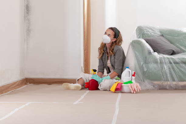 Reliable Basement Mold Remediation contractor in Princeton, NC by WQB Mold Removal